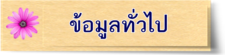 ข้อมูลทั่วไป